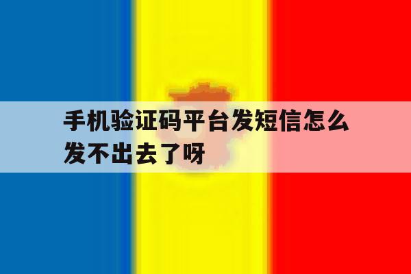 手机验证码平台发短信怎么发不出去了呀的简单介绍 手机验证码平台发短信怎么发不出去了呀的简单介绍