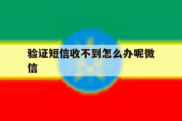 验证短信收不到怎么办呢微信 验证短信收不到怎么办呢微信