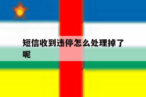 短信收到违停怎么处理掉了呢 短信收到违停怎么处理掉了呢