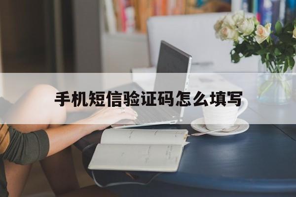 手机短信验证码怎么填写 手机短信验证码怎么填写
