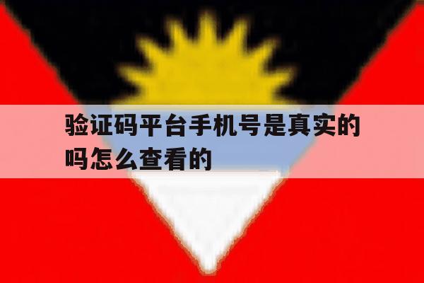 验证码平台手机号是真实的吗怎么查看的 验证码平台手机号是真实的吗怎么查看的