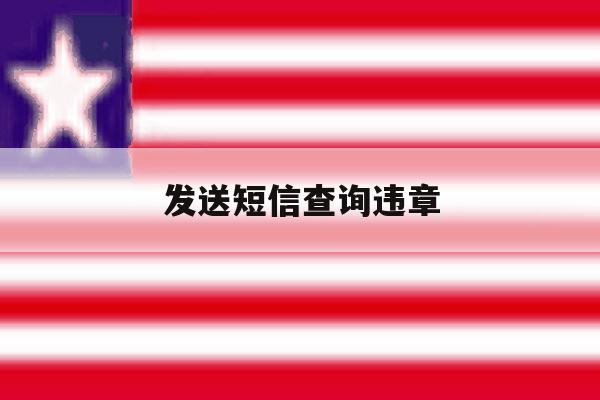 发送短信查询违章 发送短信查询违章