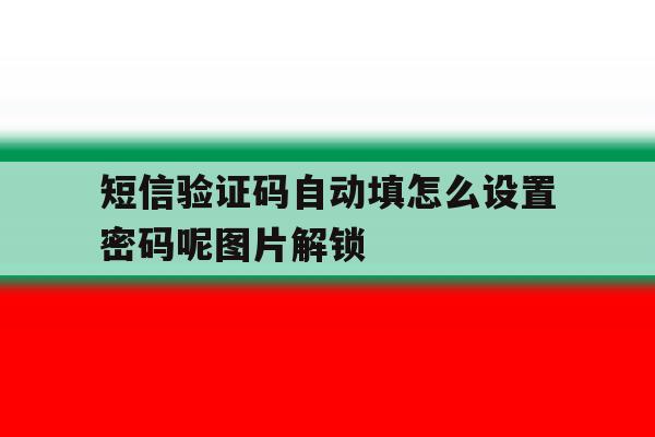 关于短信验证码自动填怎么设置密码呢图片解锁的信息 关于短信验证码自动填怎么设置密码呢图片解锁的信息