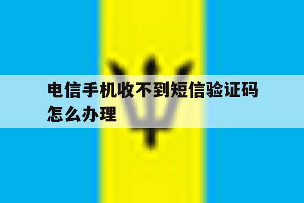 电信手机收不到短信验证码怎么办理 电信手机收不到短信验证码怎么办理