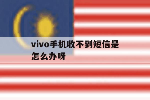 vivo手机收不到短信是怎么办呀 vivo手机收不到短信是怎么办呀