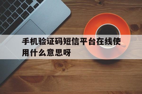 手机验证码短信平台在线使用什么意思呀的简单介绍 手机验证码短信平台在线使用什么意思呀的简单介绍