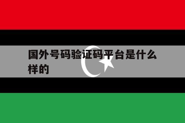 国外号码验证码平台是什么样的 国外号码验证码平台是什么样的