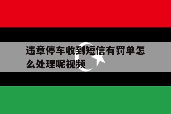 违章停车收到短信有罚单怎么处理呢视频 违章停车收到短信有罚单怎么处理呢视频