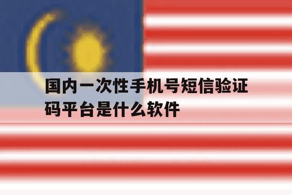 包含国内一次性手机号短信验证码平台是什么软件的词条 包含国内一次性手机号短信验证码平台是什么软件的词条