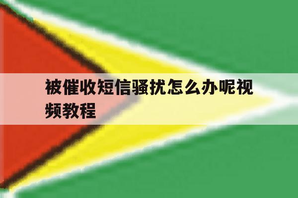被催收短信骚扰怎么办呢视频教程 被催收短信骚扰怎么办呢视频教程