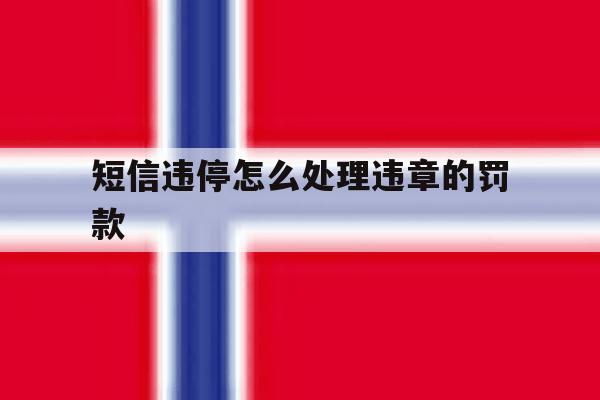 短信违停怎么处理违章的罚款 短信违停怎么处理违章的罚款