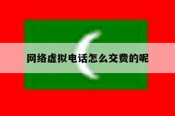 包含网络虚拟电话怎么交费的呢的词条 包含网络虚拟电话怎么交费的呢的词条