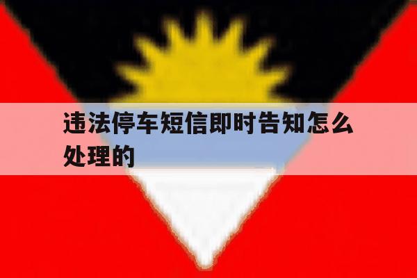违法停车短信即时告知怎么处理的 违法停车短信即时告知怎么处理的