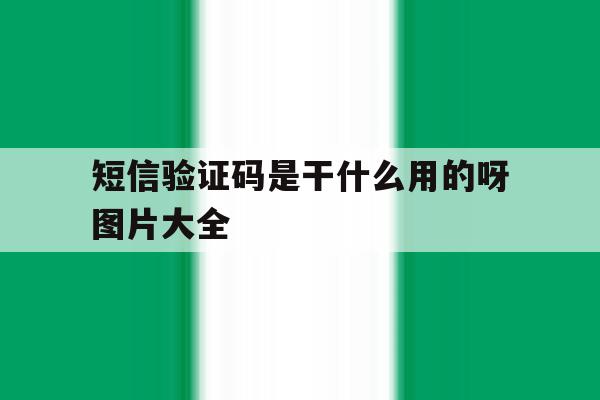 短信验证码是干什么用的呀图片大全 短信验证码是干什么用的呀图片大全