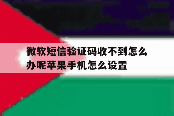 微软短信验证码收不到怎么办呢苹果手机怎么设置的简单介绍 微软短信验证码收不到怎么办呢苹果手机怎么设置的简单介绍
