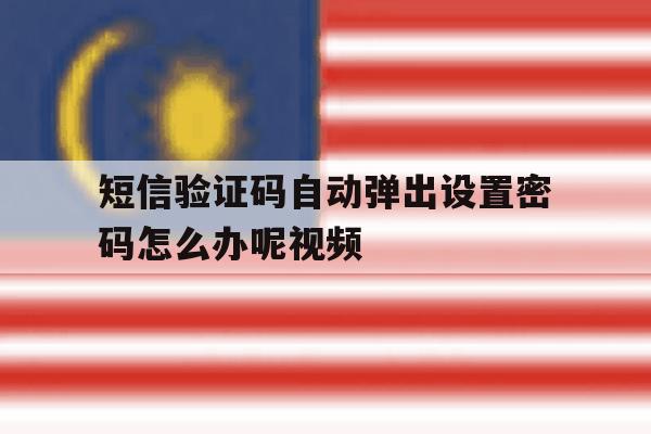 短信验证码自动弹出设置密码怎么办呢视频 短信验证码自动弹出设置密码怎么办呢视频