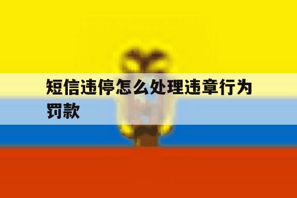 短信违停怎么处理违章行为罚款 短信违停怎么处理违章行为罚款