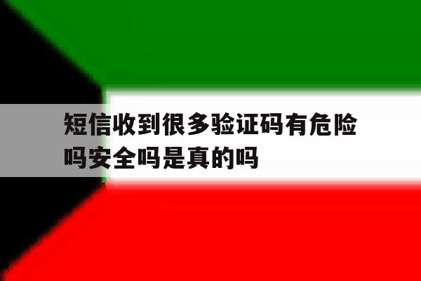 短信收到很多验证码有危险吗安全吗是真的吗的简单介绍 短信收到很多验证码有危险吗安全吗是真的吗的简单介绍