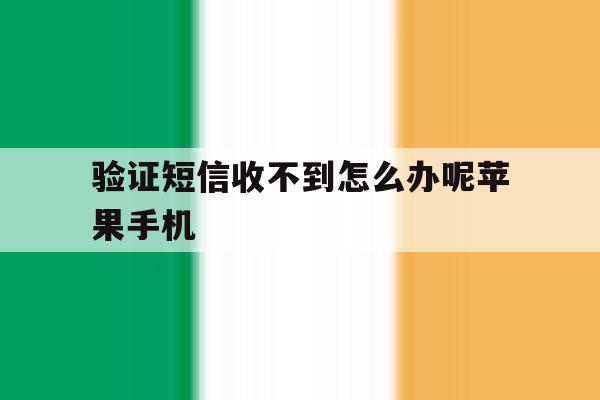 验证短信收不到怎么办呢苹果手机 验证短信收不到怎么办呢苹果手机