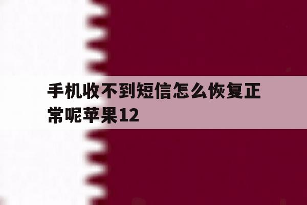包含手机收不到短信怎么恢复正常呢苹果12的词条 包含手机收不到短信怎么恢复正常呢苹果12的词条