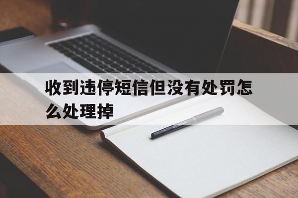 收到违停短信但没有处罚怎么处理掉 收到违停短信但没有处罚怎么处理掉