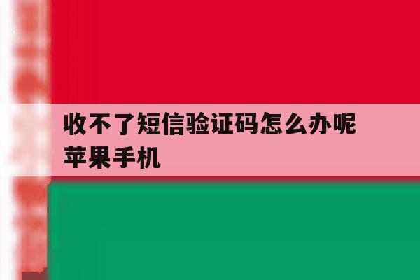 收不了短信验证码怎么办呢苹果手机 收不了短信验证码怎么办呢苹果手机