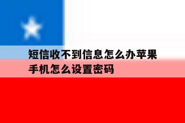 包含短信收不到信息怎么办苹果手机怎么设置密码的词条 包含短信收不到信息怎么办苹果手机怎么设置密码的词条