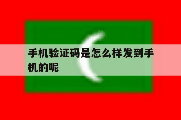 手机验证码是怎么样发到手机的呢 手机验证码是怎么样发到手机的呢