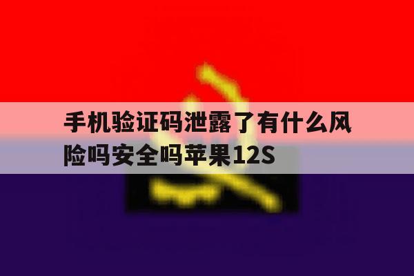 手机验证码泄露了有什么风险吗安全吗苹果12S的简单介绍 手机验证码泄露了有什么风险吗安全吗苹果12S的简单介绍