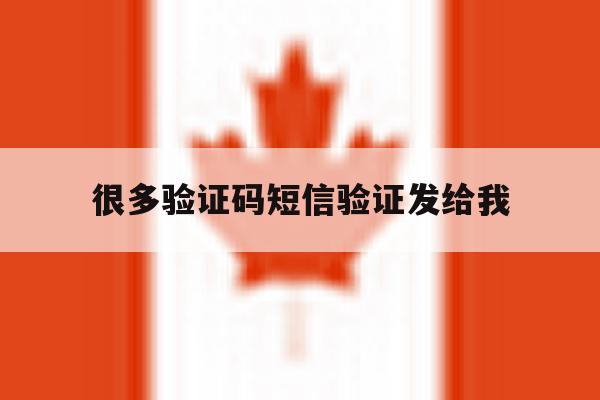 很多验证码短信验证发给我 很多验证码短信验证发给我