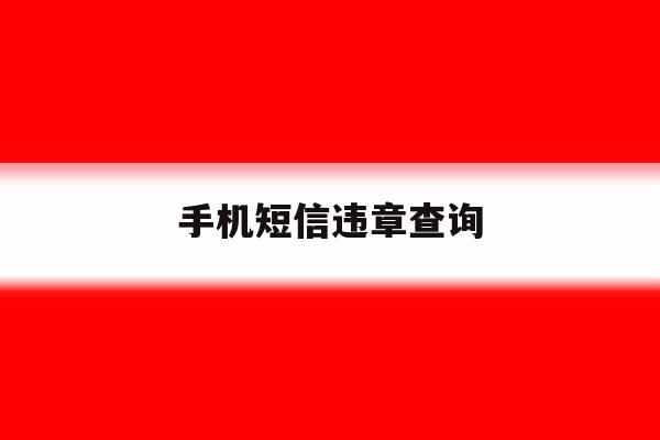 手机短信违章查询 手机短信违章查询