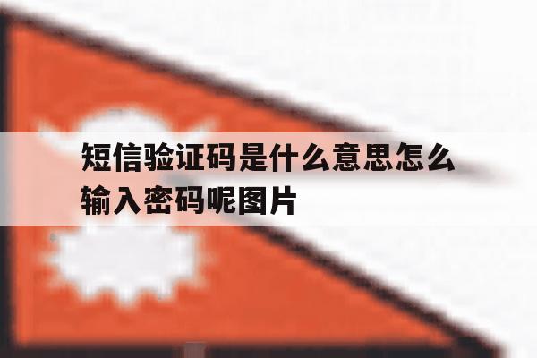 短信验证码是什么意思怎么输入密码呢图片的简单介绍 短信验证码是什么意思怎么输入密码呢图片的简单介绍