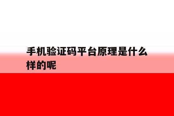 手机验证码平台原理是什么样的呢 手机验证码平台原理是什么样的呢