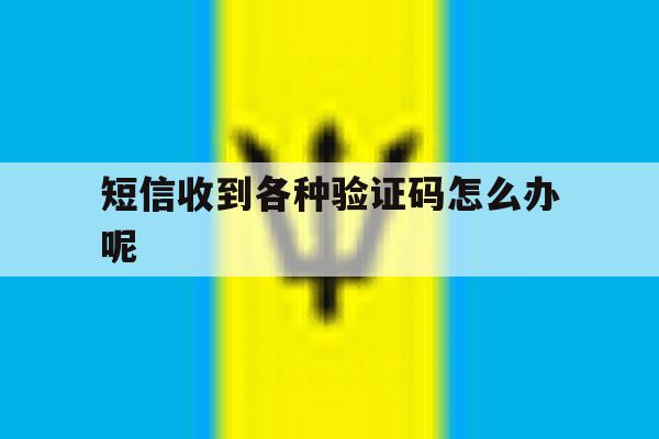 短信收到各种验证码怎么办呢 短信收到各种验证码怎么办呢