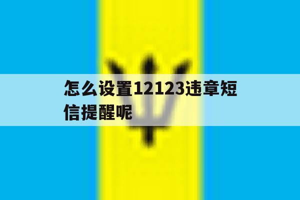 怎么设置12123违章短信提醒呢 怎么设置12123违章短信提醒呢