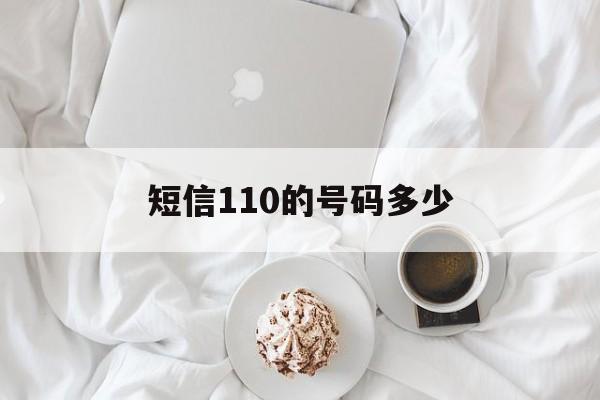 短信110的号码多少 短信110的号码多少