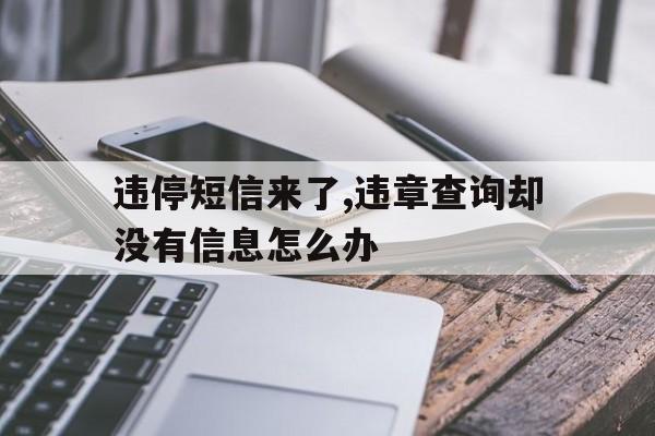 违停短信来了,违章查询却没有信息怎么办的简单介绍 违停短信来了,违章查询却没有信息怎么办的简单介绍