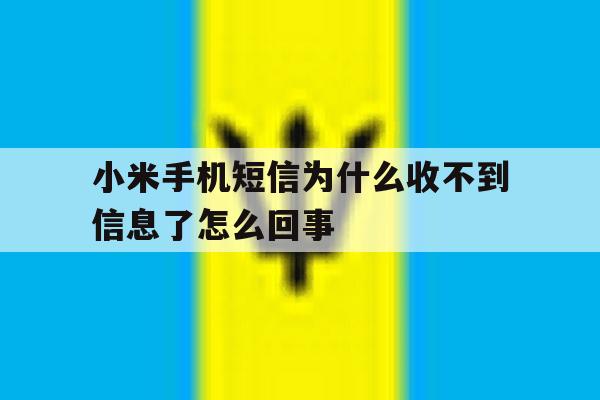 小米手机短信为什么收不到信息了怎么回事 小米手机短信为什么收不到信息了怎么回事