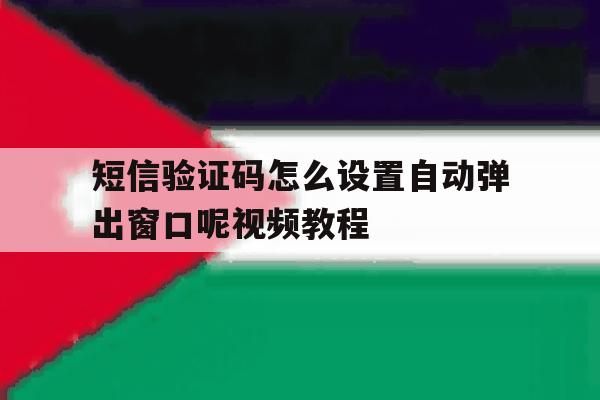 短信验证码怎么设置自动弹出窗口呢视频教程 短信验证码怎么设置自动弹出窗口呢视频教程