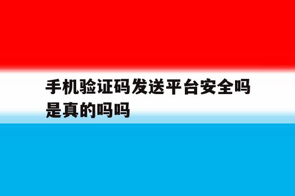 手机验证码发送平台安全吗是真的吗吗的简单介绍 手机验证码发送平台安全吗是真的吗吗的简单介绍