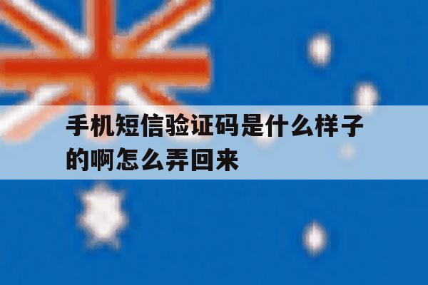 手机短信验证码是什么样子的啊怎么弄回来 手机短信验证码是什么样子的啊怎么弄回来