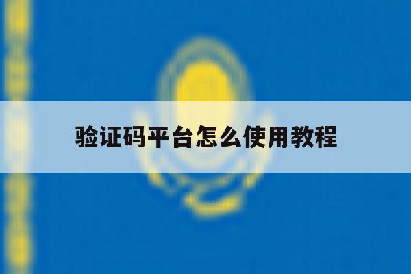 验证码平台怎么使用教程 验证码平台怎么使用教程