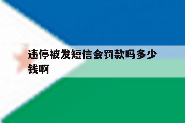 违停被发短信会罚款吗多少钱啊 违停被发短信会罚款吗多少钱啊