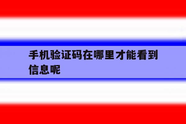 手机验证码在哪里才能看到信息呢 手机验证码在哪里才能看到信息呢
