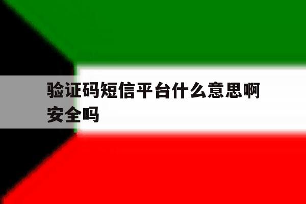 验证码短信平台什么意思啊安全吗 验证码短信平台什么意思啊安全吗
