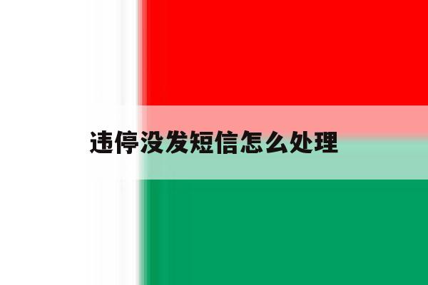 违停没发短信怎么处理 违停没发短信怎么处理
