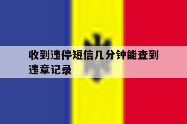 收到违停短信几分钟能查到违章记录 收到违停短信几分钟能查到违章记录