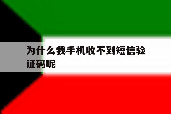 为什么我手机收不到短信验证码呢 为什么我手机收不到短信验证码呢