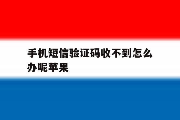 手机短信验证码收不到怎么办呢苹果 手机短信验证码收不到怎么办呢苹果