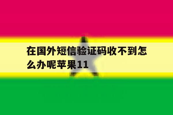 关于在国外短信验证码收不到怎么办呢苹果11的信息 关于在国外短信验证码收不到怎么办呢苹果11的信息